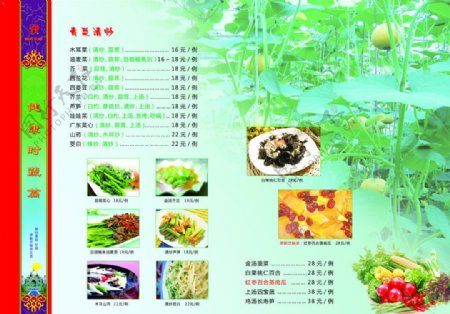 菜谱内页青菜蔬菜清炒瓜果图片