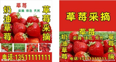 草莓采摘广告源文件图片
