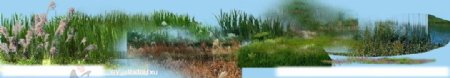园林景观花草树林鸟瞰透视效果图PSD分层6图片