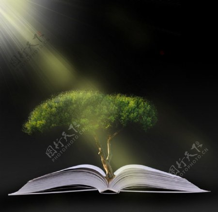 书本绿树创意图片