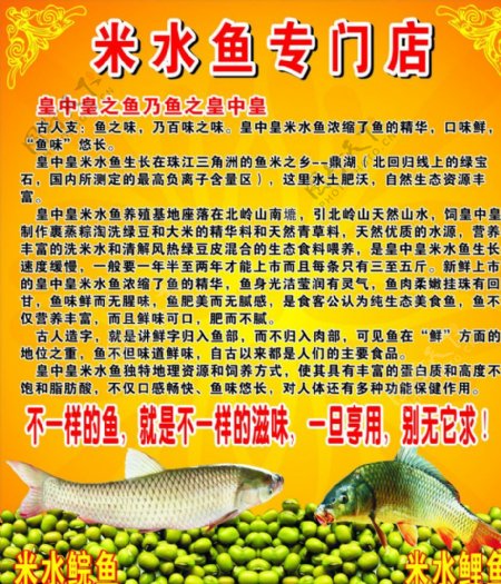 米水鱼鱼海报图片