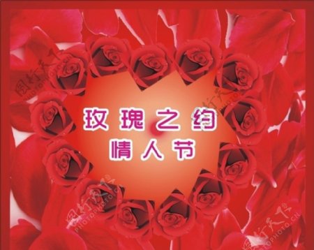 玫瑰之约玫瑰花情人节图片
