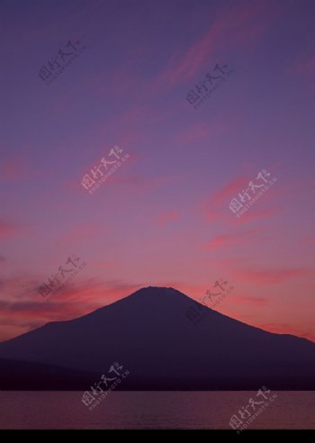 樱花与富士山0135