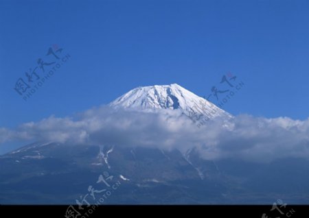 樱花与富士山0156