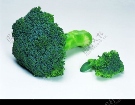 日常蔬菜0069