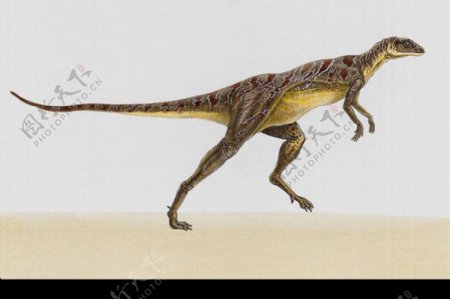 白垩纪恐龙0035
