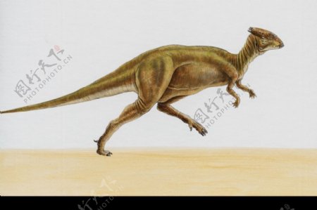 白垩纪恐龙0051