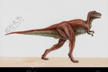 白垩纪恐龙0092
