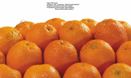 橙子特写0029