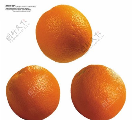 橙子特写0040