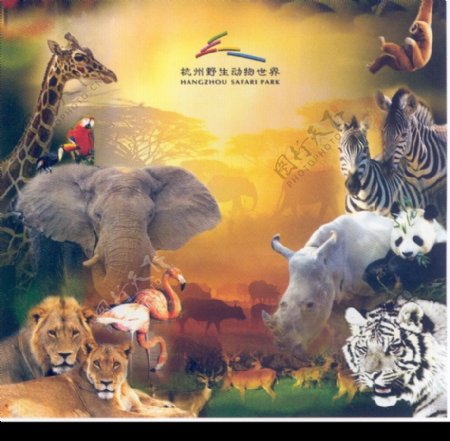 杭州野生动物世界002