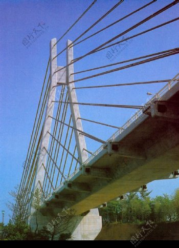 桥梁0270
