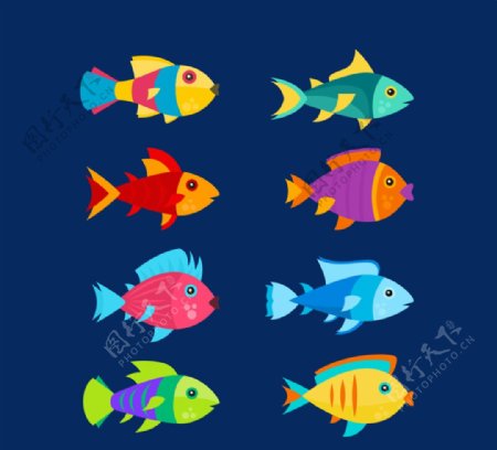 8款创意彩色鱼类设计矢量素材