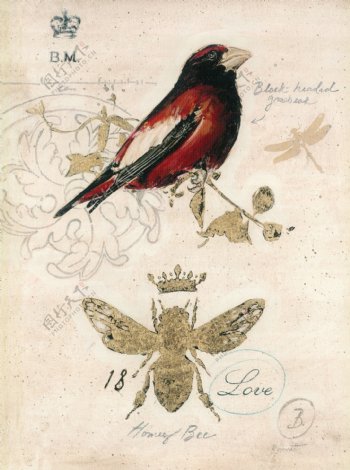 欧美复古鸟雀昆虫油画