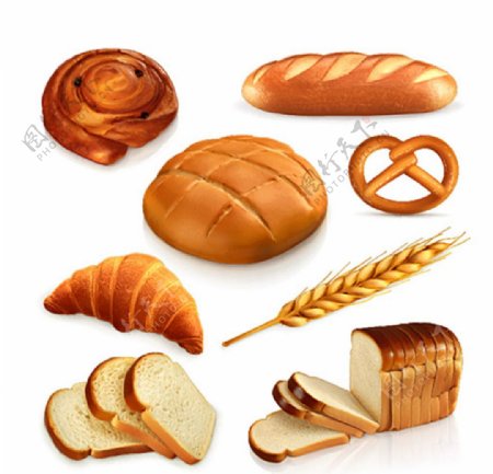 面包美食设计