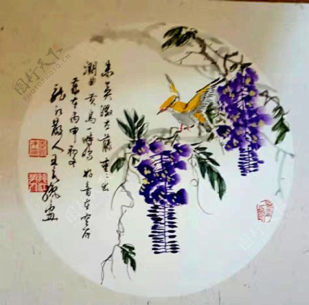 水墨画紫藤黄鹂