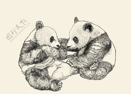 熊猫手绘线描