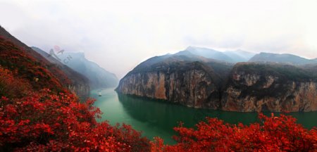 长江三峡三峡红叶