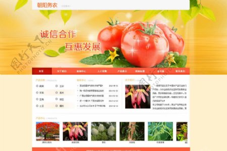 红色农业网站