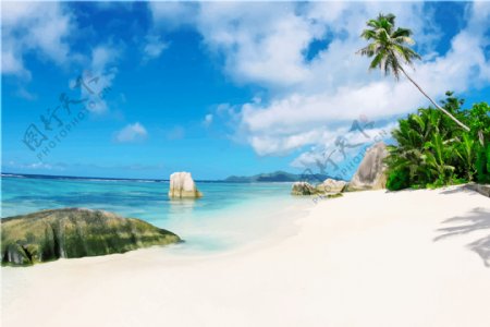 海边沙滩椰树礁石蓝天白云油画