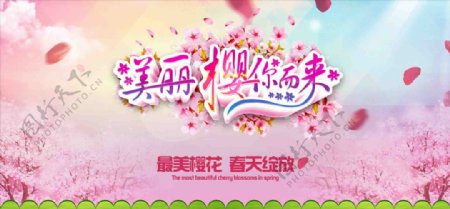 春节樱花节海报