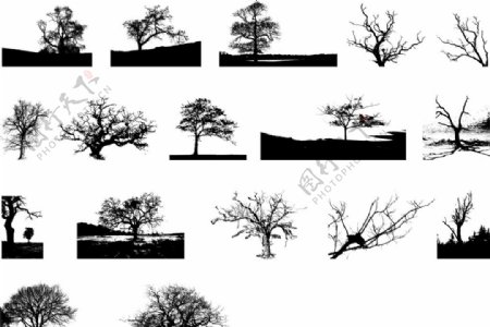 矢量欧美创意黑白图案树木元素