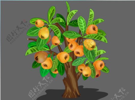 长满果实的琵琶树flash动画