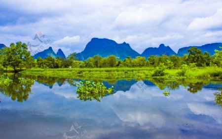 会仙湿地河岸风光