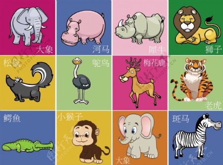 卡通小动物拼图