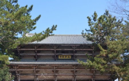 奈良东大寺