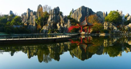云南石林自然公园