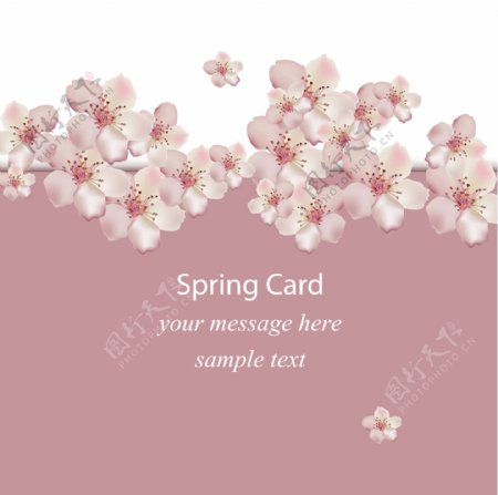 春天粉色花卉背景设计