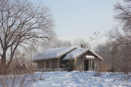 哈尔滨雪地里的茅草屋