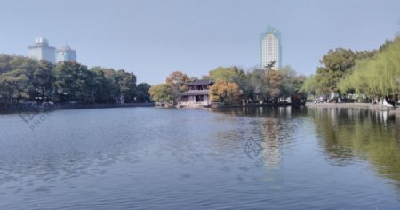 宁波月湖