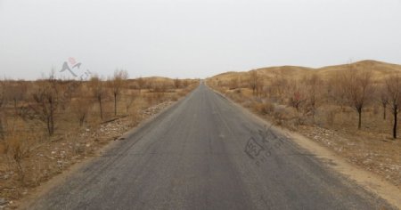 库布齐沙漠公路