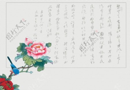 中国风国画花鸟书法
