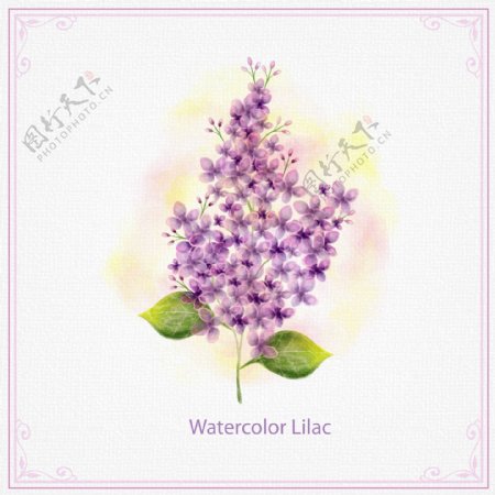 手绘水彩春季紫色花卉