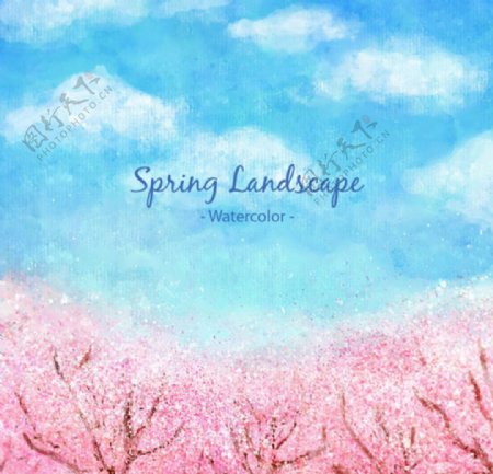 手绘水彩春季樱花树林插图