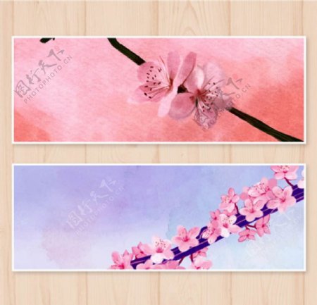漂亮的手绘水彩樱花横幅