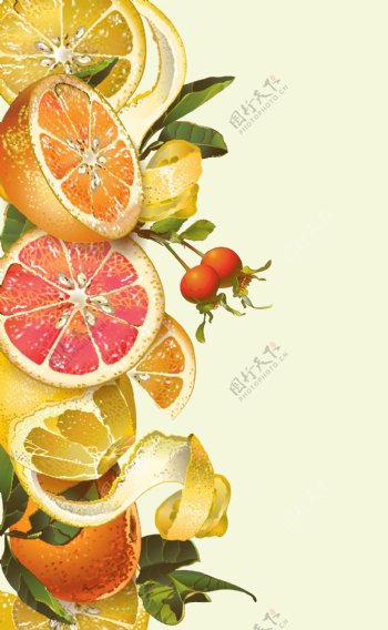 手绘水果橙子柠檬蜂蜜矢量背景素材