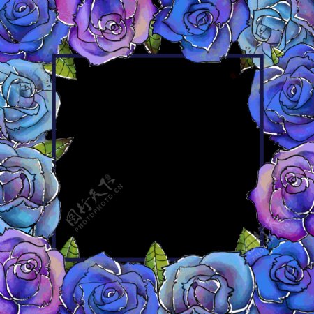 蓝色玫瑰鲜花边框免抠png透明图层素材