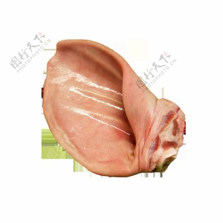 实物猪耳朵肉类元素