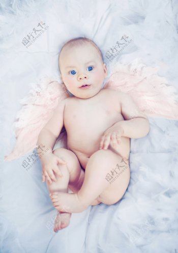 外国天使婴儿图片