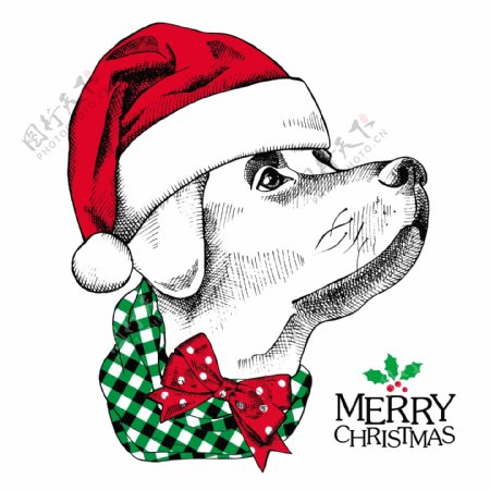 抬着头的狗狗可爱动物圣诞节海报矢量