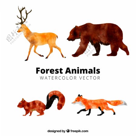 4款水彩绘动感森林动物矢量图