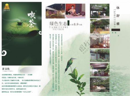 中国风绿色清新茶画册