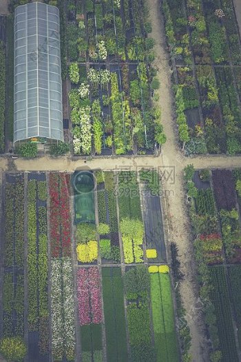 清除玻璃温室除了绿色植物淮北市叶菜