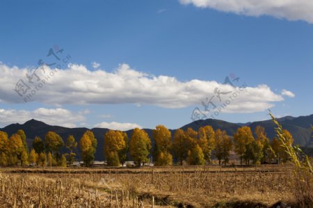 秋天田园风景图片