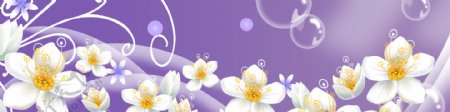 紫色背景洁白花朵花藤装饰画