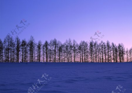 冬天景色摄影图片